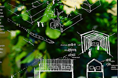 好色TV：奇幻冒险之旅，视觉盛宴等你来体验-4