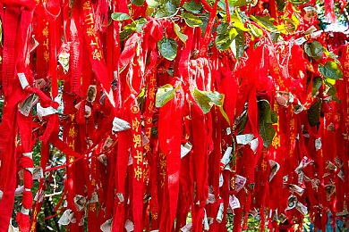 欧洲一区二：探秘欧洲之心，穿越千年瑰宝之旅-5