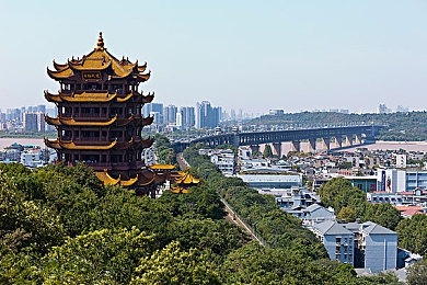 看a软件：数字海洋探秘，视觉盛宴开启——解锁高效信息时代新篇章-2