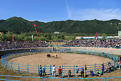 久久综合五月天：青春旋律盛宴，五月天音乐狂欢之旅-4