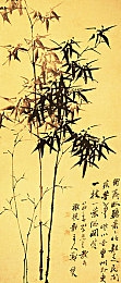 今日看料美好生活从今日开始骑虎：探索自然之趣，骑虎启程寻美好人生之旅-3