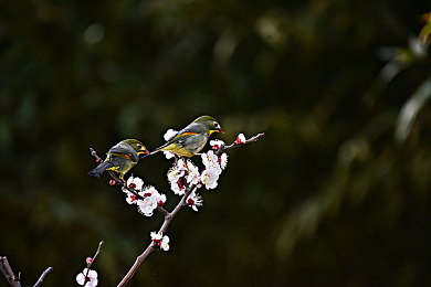 黄色软件下载3.0.3每天无限免费大全：畅享无限，每日免费，休闲益智游戏新体验-2