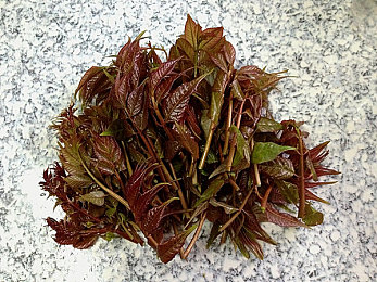 按摩店风韵老熟妇露脸：网络热议：按摩店老熟妇照片引发行业规范与道德观念讨论，多元现象背后何去何从？-2