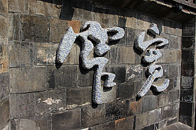 仙踪林免费视频入口老狼：揭秘免费视觉盛宴：老狼带你畅游仙踪林视频世界-2