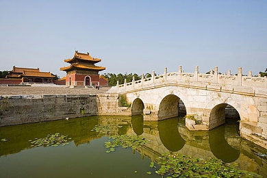 生物老师用自己做繁衍例子：智慧繁衍之旅，启迪生命奥秘-4