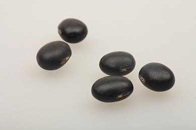 大BW毛毛多巨大Bw大Bw：量子奇观引发热议：破解神秘现象背后的科学迷雾-2