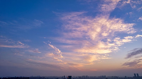 十八个黄色软件：探索效率新境界，解锁工作娱乐双丰收的秘密宝藏-5