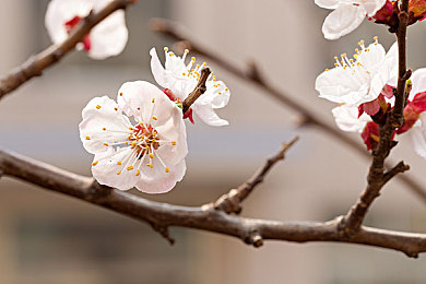 91抖抈短视频app：短视频新锐崛起，91抖抈引领潮流新篇章-5