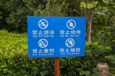 魅影看b站直播可以吗手机：B站直播平台大升级，魅影携手手机用户畅享无障碍观赛体验-3