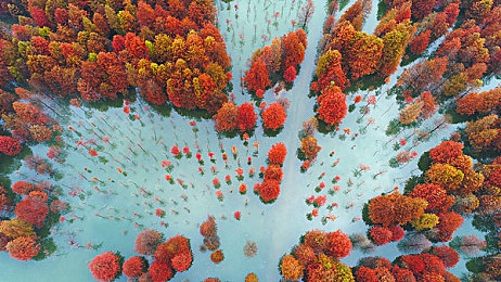 性别 自由 凸轮 管中国：科技新翼，性别平等新篇章-2